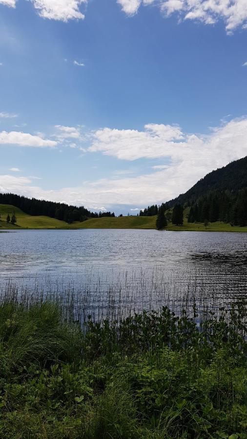 Tauglerei Appartement Bernstein In Den Zauberbergen Sankt Koloman Exteriér fotografie