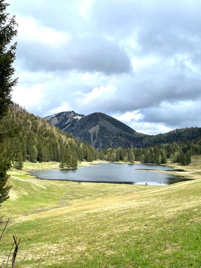 Tauglerei Appartement Bernstein In Den Zauberbergen Sankt Koloman Exteriér fotografie